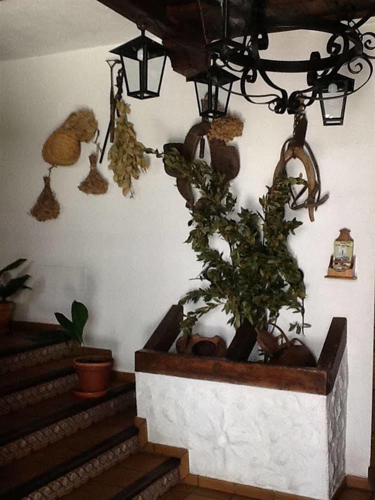 Hotel Posada San Antonio El Bosque Kültér fotó